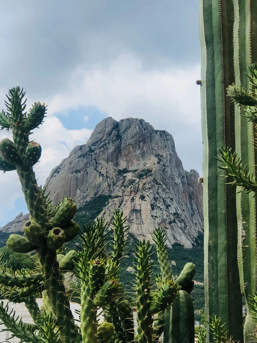 Cactus frente a una montaña mexicana, fotografía del sitio de AYA